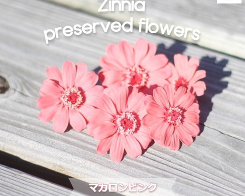 2d363f6b0edc844e642780f0abe6a5