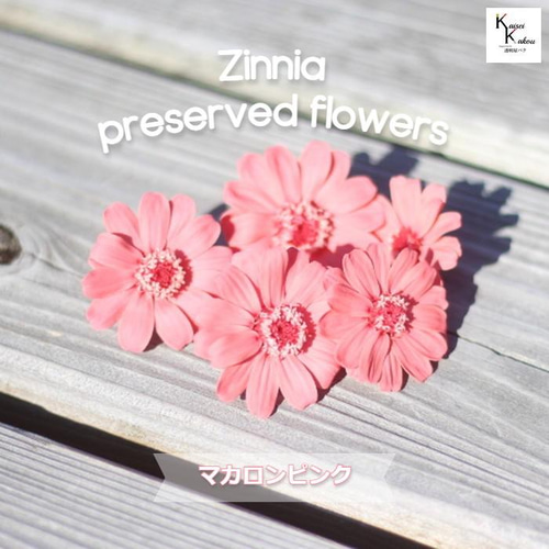 レジン ヘアゴム ローズピンク 花かんざし マトリカリア ドライフラワー 円形 レジン ヘアゴム ローズピンク 花かんざし マトリカリア ドライ