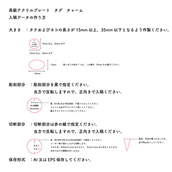  第11張的照片