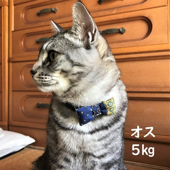 猫用蝶ネクタイ●36パッチワーク／和柄 8枚目の画像