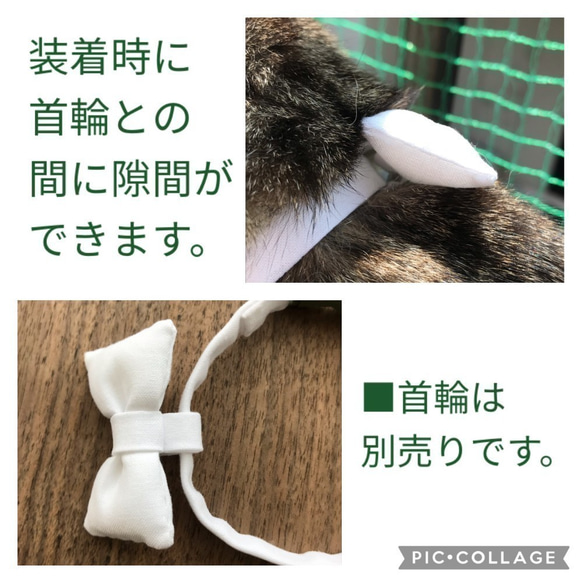 猫用蝶ネクタイ●36パッチワーク／和柄 6枚目の画像