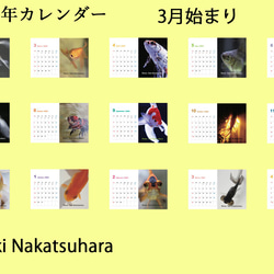 2022年 金魚 卓上カレンダー　3月始まり(March start calendar2022 Gold Fish) 4枚目の画像