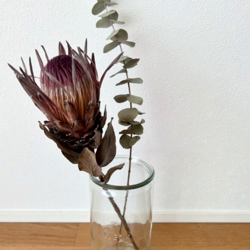 単品シリーズ〈ドライフラワー・プロテア・シャロン〉1本のみ ドライ