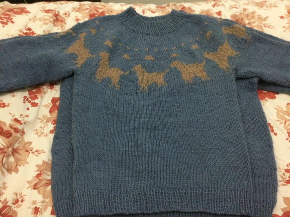 ゴールデンレトリバーのセーター　ペア可能帽子付　丸ヨーク手編み　1枚の値段 2枚目の画像