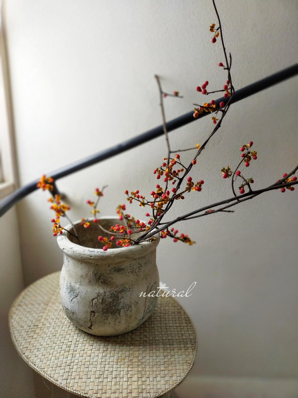 ツルウメモドキ長い枝モノ5本セット ドライフラワー ajisai 通販