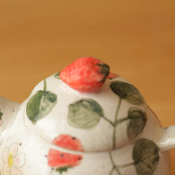 一壺草莓粉和草莓花。 第8張的照片
