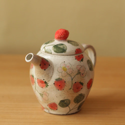一壺草莓粉和草莓花。 第6張的照片