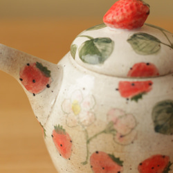 一壺草莓粉和草莓花。 第9張的照片