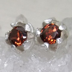 『ピエリスの抱擁』garnet＊925pierce 2枚目の画像