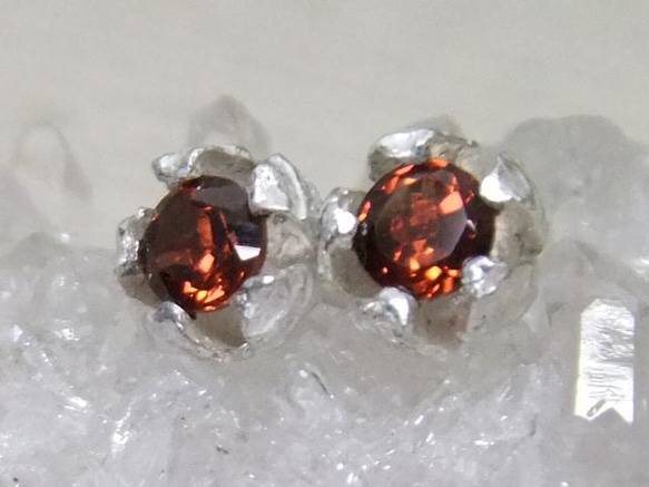 『ピエリスの抱擁』garnet＊925pierce 2枚目の画像