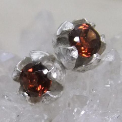 『ピエリスの抱擁』garnet＊925pierce 1枚目の画像