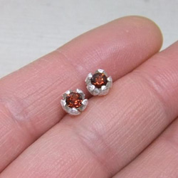 『ピエリスの抱擁』garnet＊925pierce 4枚目の画像