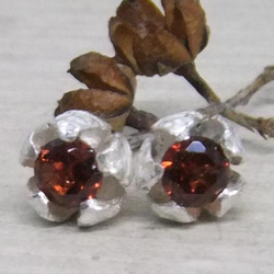 『ピエリスの抱擁』garnet＊925pierce 3枚目の画像