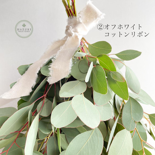 ✨2束【884】ポポラスベリー ユーカリ スワッグ 生花 ドライ 花材 輸入