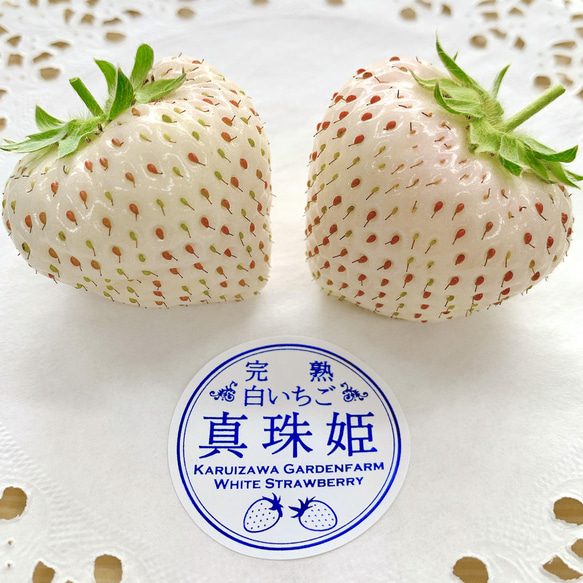 【いちごグランプリ2025受賞・唯一の白いちご】軽井沢高原プレミアムいちご（希少な「真珠姫」の紅白詰め合わせ） 2枚目の画像