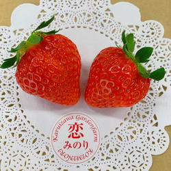 【いちごグランプリ2025受賞・唯一の白いちご】軽井沢高原プレミアムいちご（希少な「真珠姫」の紅白詰め合わせ） 8枚目の画像