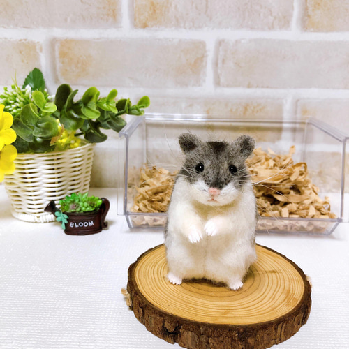 365 ジャンガリアン ノーマル◇羊毛フェルト NEW】ノーマルカラー *お座りジャンガリアンハムスター* 羊毛