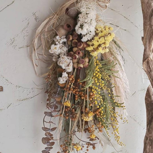 専用＊ミモザ&ベルガムナッツ ドライフラワースワッグ ミモザ