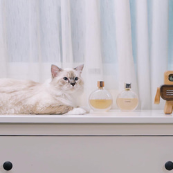 アロマディフューザー 「THE ROBOT」 木製 充電式コードレス アロマポット TOSMU 11枚目の画像