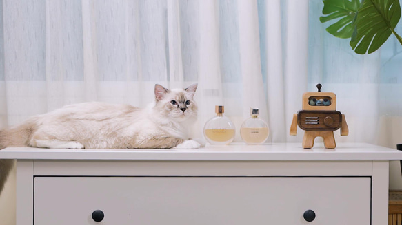 アロマディフューザー 「THE ROBOT」 木製 充電式コードレス アロマポット TOSMU 11枚目の画像