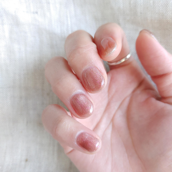 再販6】無花果カラーのマグネットネイル ネイルチップ（つけ爪