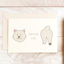 秋田犬　サンキューカード（毛色が選べます） 2枚目の画像