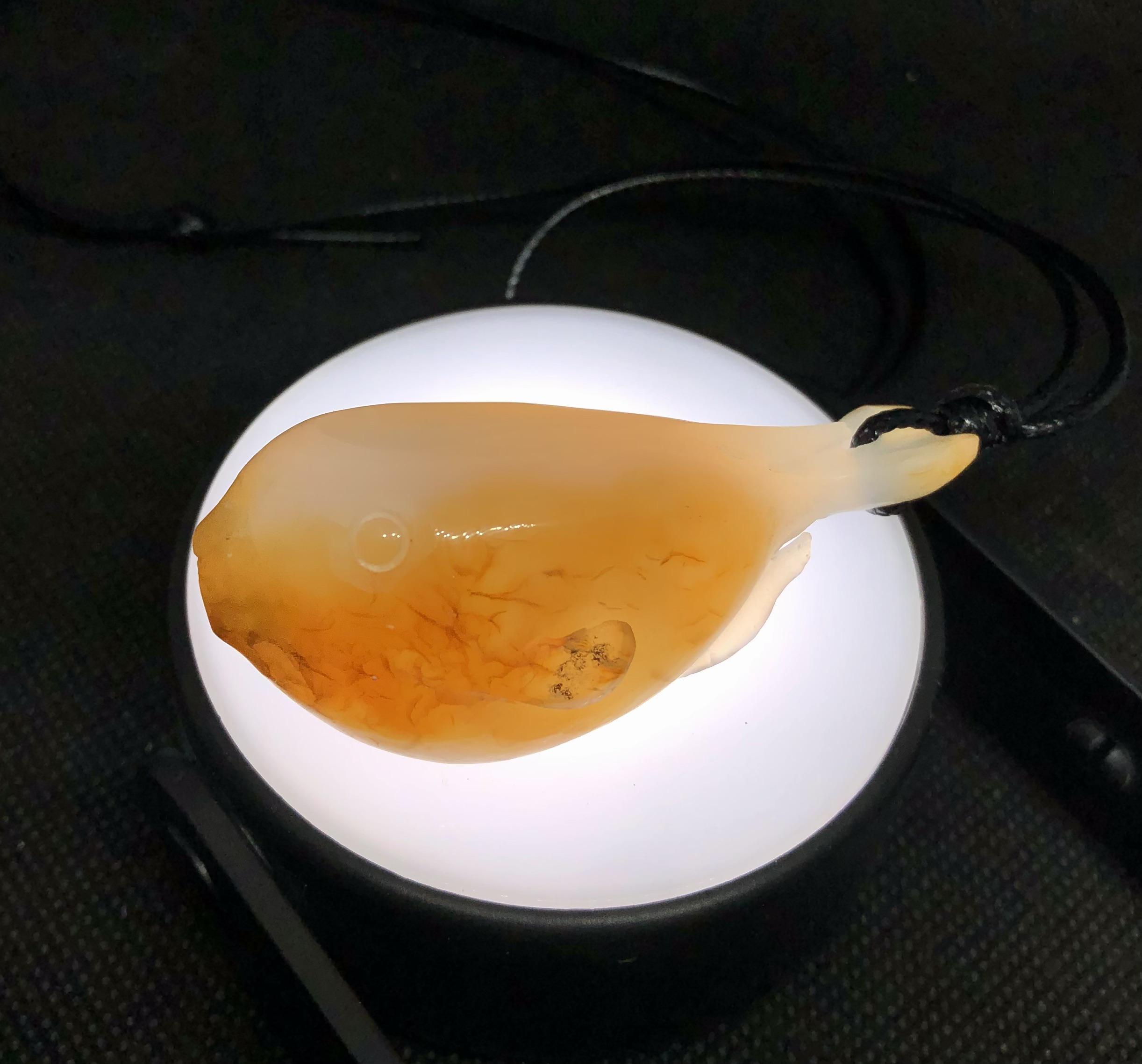 虎フグ石笛　新年祝‼️