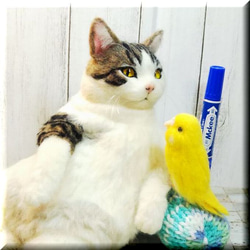 羊毛フェルト　猫　キジシロ猫さんとセキセイインコさん　キジ白　ねこ　ネコ　猫フィギュア　 12枚目の画像