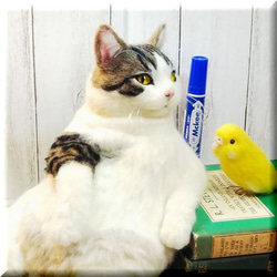 羊毛フェルト 猫 キジシロ猫さんとセキセイインコさん キジ白