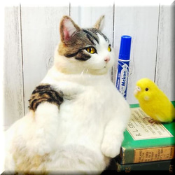 羊毛フェルト　猫　キジシロ猫さんとセキセイインコさん　キジ白　ねこ　ネコ　猫フィギュア　 1枚目の画像