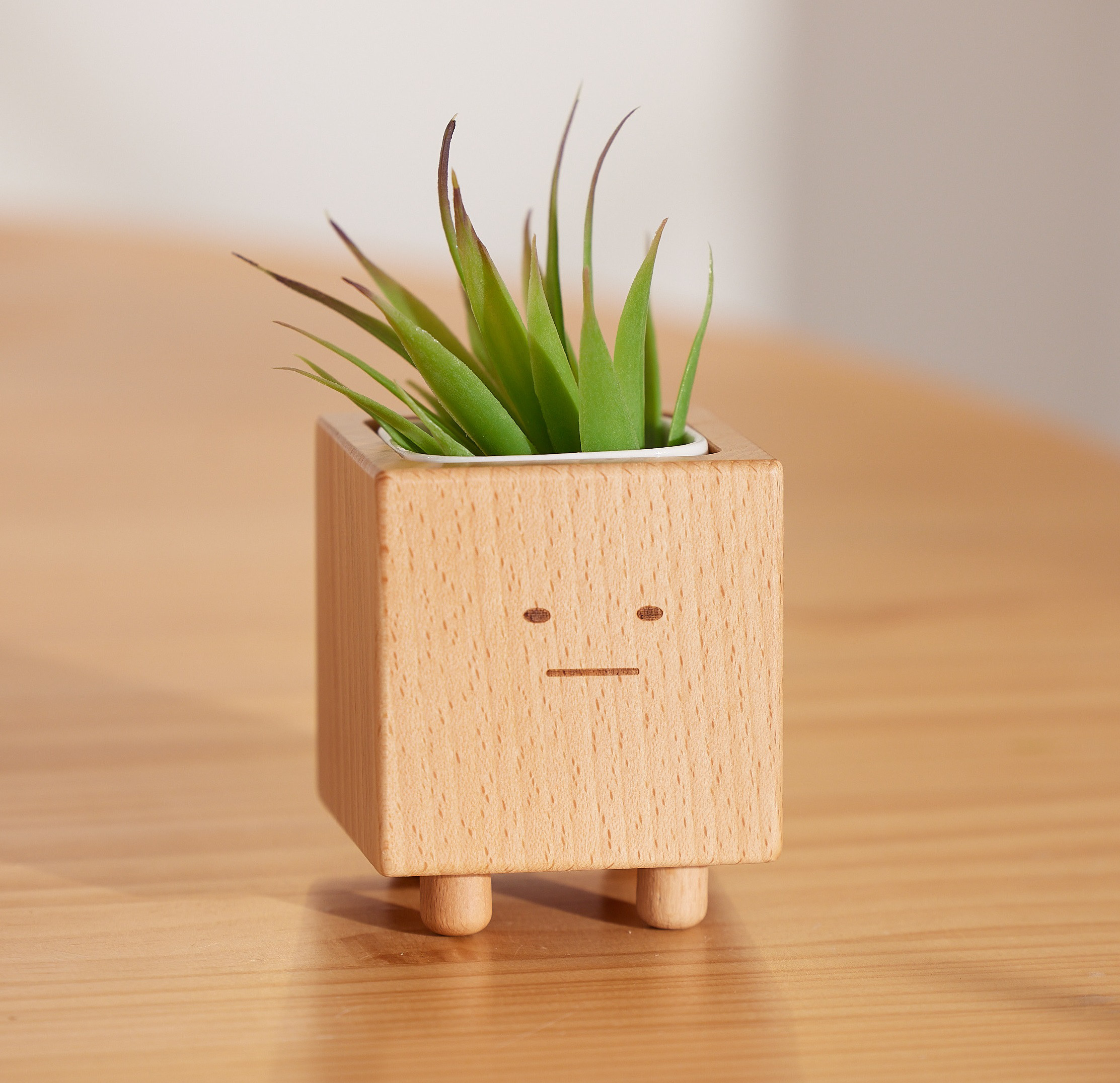 ぽんちゃん「木を植えよう」