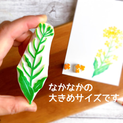 やわらかな菜の花はんこセット（3月4月春の消しゴムはんこ） 6枚目の画像