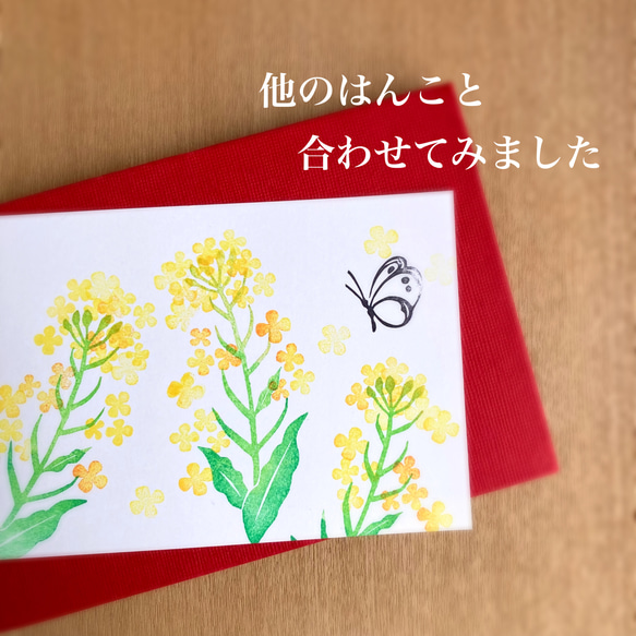 やわらかな菜の花はんこセット（3月4月春の消しゴムはんこ） 10枚目の画像