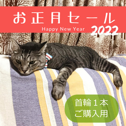 2022お正月セール●首輪を選べて1本900円 1枚目の画像