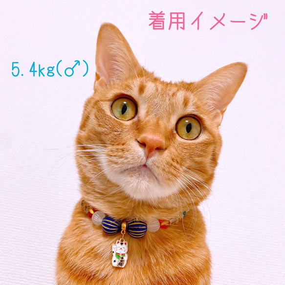 猫の首輪2022年 お正月 新春新年 和風 ネックレス✨招き猫チャームฅ 5枚目の画像