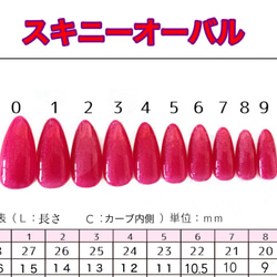 【現品】☆kirari-nail☆ No.210 2枚目の画像