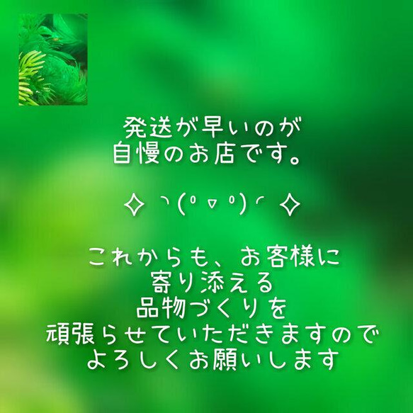 いっぱい！６枚セット選べるアソートhappy bag☘ふんわり　ちょうどいいsizeのダブルガーゼはんかち 12枚目の画像