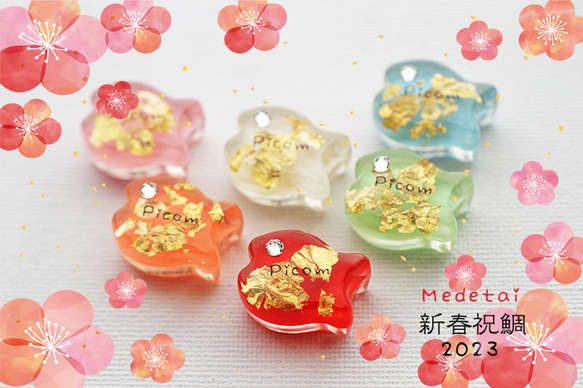 丟子卡 Medeta charm 2023 Picom 第1張的照片