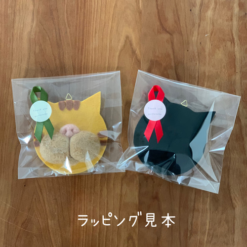 ねこの髭さし キジ白猫 猫ひげ ネコひげ ねこのひげ集め ねこ