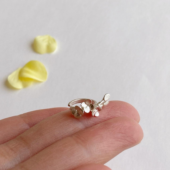 菜の花の純銀イヤーカフ◇ピュアシルバー 片耳用 イヤカフ カフス お花 小さい　なのはな　春 12枚目の画像