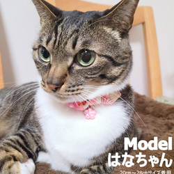 華麗的日本菊花圖案*貓項圈 第6張的照片