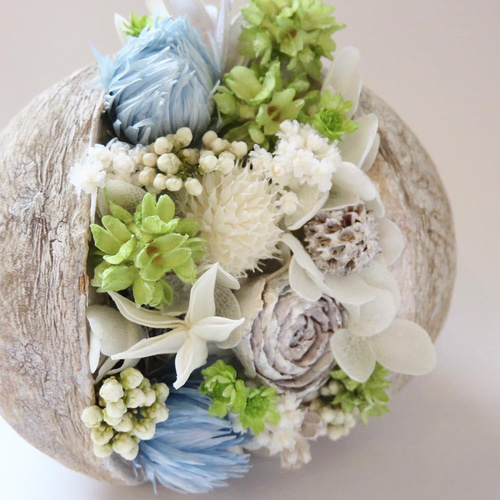 送料400円〜ブッダナッツアレンジ ブルーグリーン プリザーブド  