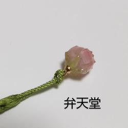 【弁天堂】「薔薇のつぼみか野いちごか」贅沢に根付けにしました　プラパンの小粒 3枚目の画像