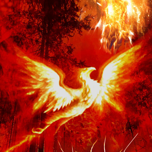 火の鳥・炎の虎／虎 火の鳥 フェニックス ファイアーバード ファイア