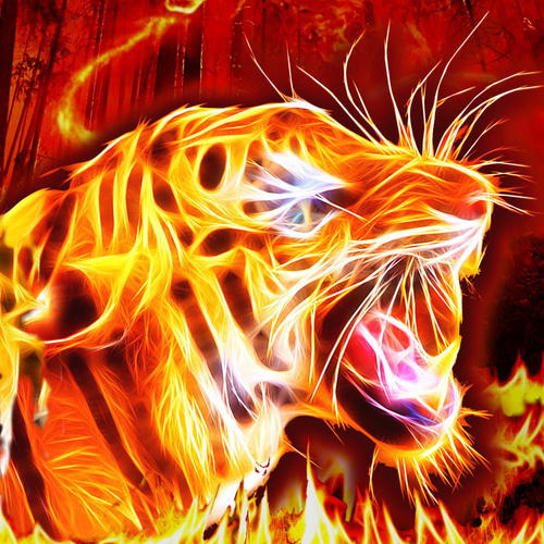 火の鳥・炎の虎／虎 火の鳥 フェニックス ファイアーバード ファイア