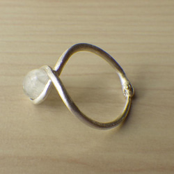 ウロボロスのリング 3枚目の画像