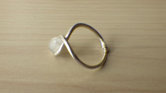 ウロボロスのリング 3枚目の画像