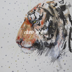 猛虎 寅 絵画 日本画 水彩画 在銘 F6号 額寸縦53cm ✖️ 横41cm 猛虎 寅 絵画 日本画 水彩画 在銘 F6号 額寸縦53cm ✖️ 横