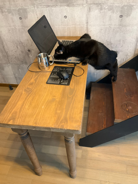 アイアン階段 猫カフェ テーブル ベンチ DYIにも (オブジェ )キャット