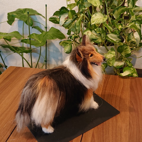 オーダー】羊毛フェルト 犬 猫 シェルティ ダックス ポメラニアン トイ